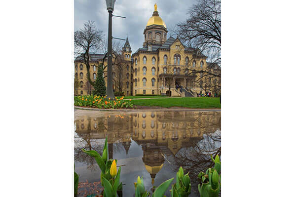Spring Campus Puddle Reflectionx600